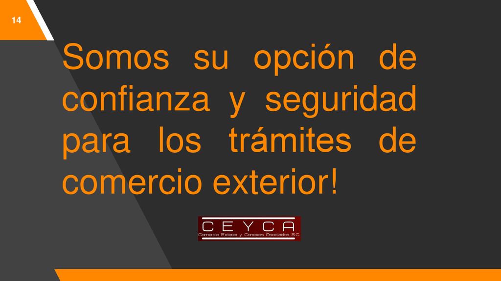 Somos su opción de confianza y seguridad para los trámites de comercio exterior!