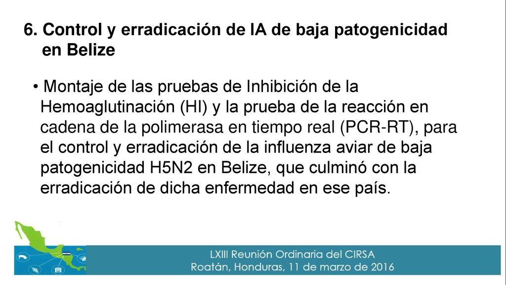 6. Control y erradicación de IA de baja patogenicidad en Belize