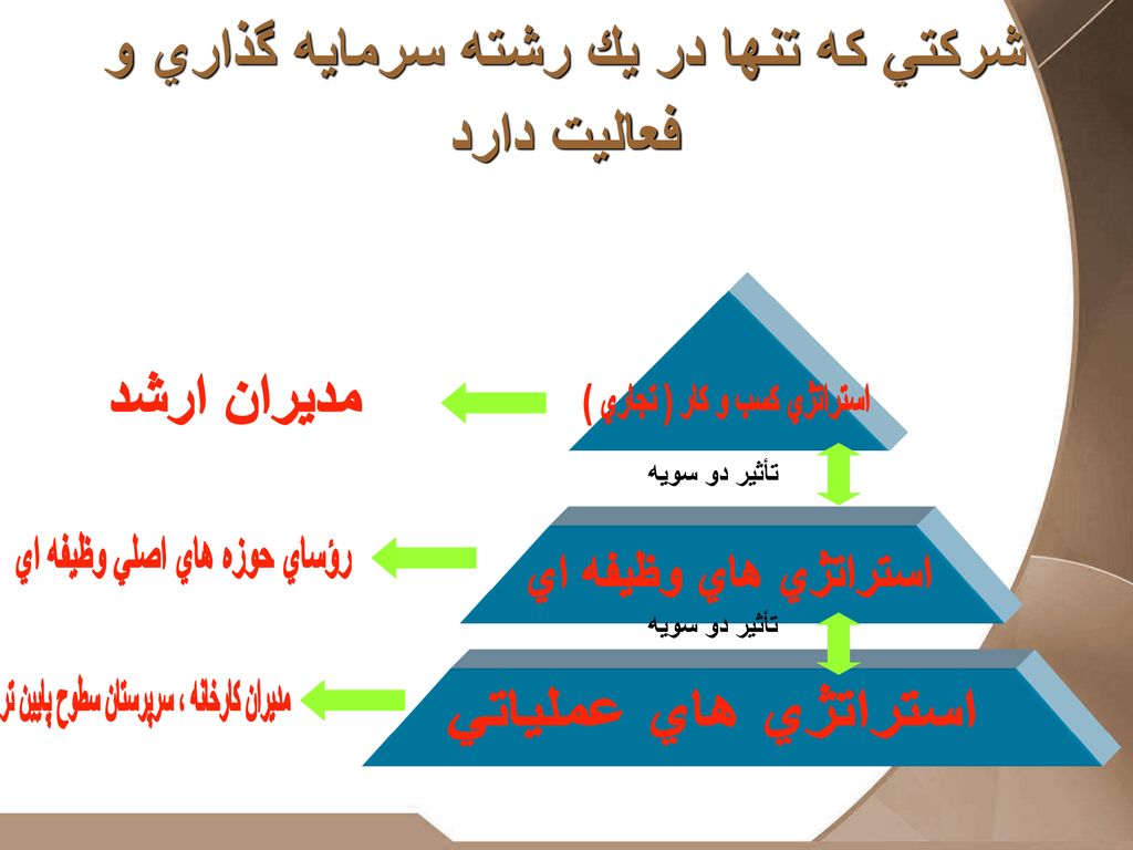 شركتي كه تنها در يك رشته سرمايه گذاري و فعاليت دارد