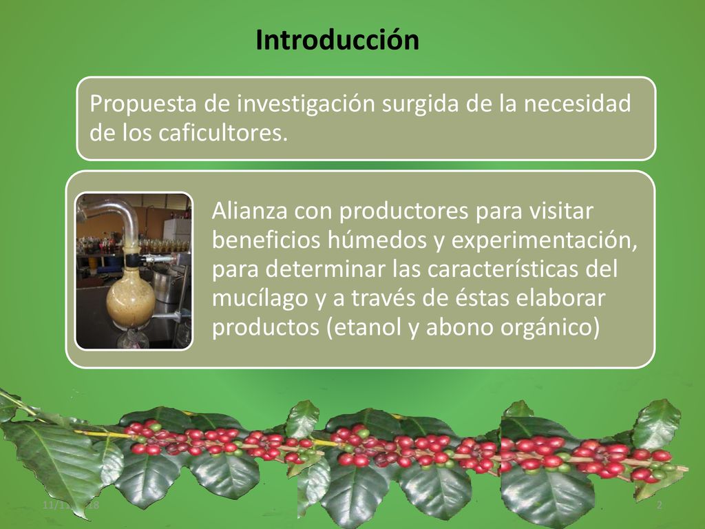 Introducción Propuesta de investigación surgida de la necesidad de los caficultores.