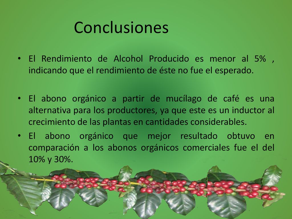Conclusiones El Rendimiento de Alcohol Producido es menor al 5% , indicando que el rendimiento de éste no fue el esperado.