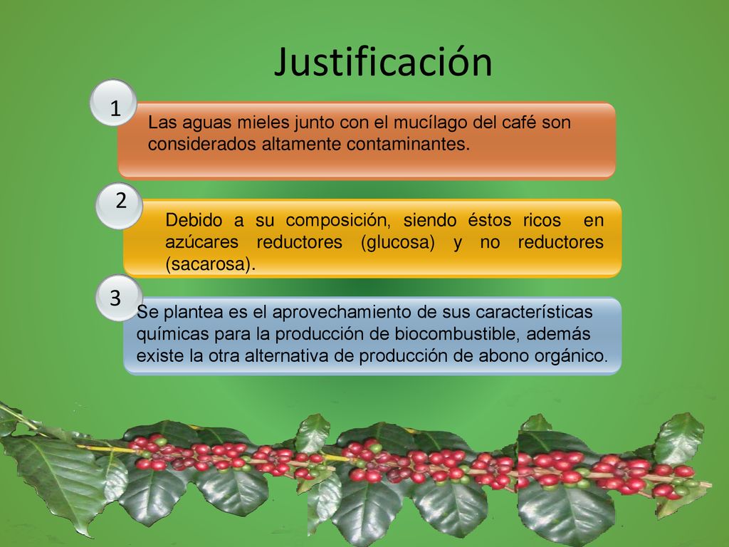 Justificación 1. Las aguas mieles junto con el mucílago del café son considerados altamente contaminantes.