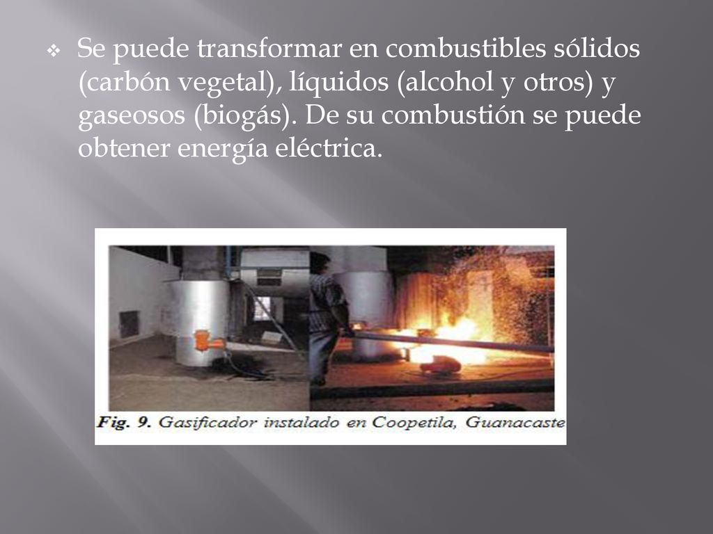 Se puede transformar en combustibles sólidos (carbón vegetal), líquidos (alcohol y otros) y gaseosos (biogás).