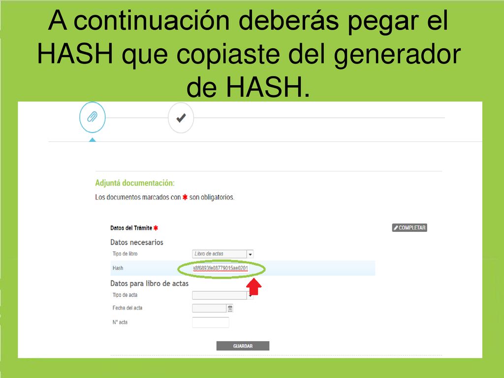 A continuación deberás pegar el HASH que copiaste del generador de HASH.