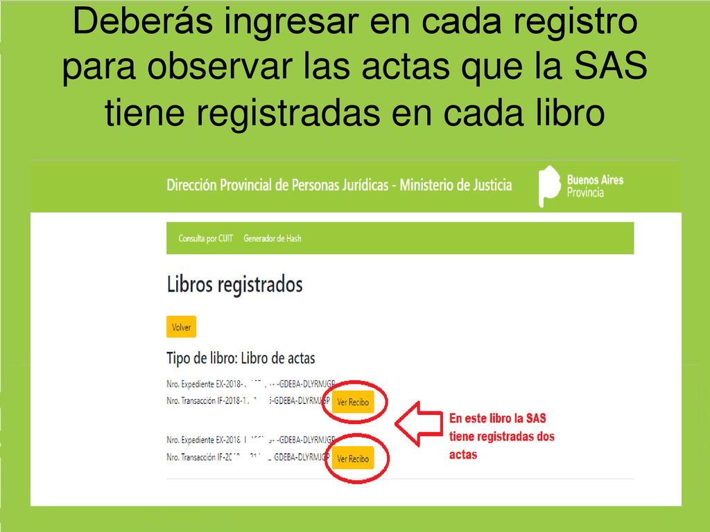 Deberás ingresar en cada registro para observar las actas que la SAS tiene registradas en cada libro