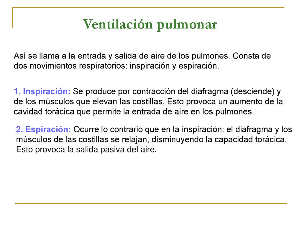 Ventilación pulmonar Así se llama a la entrada y salida de aire de los pulmones. Consta de dos movimientos respiratorios: inspiración y espiración.