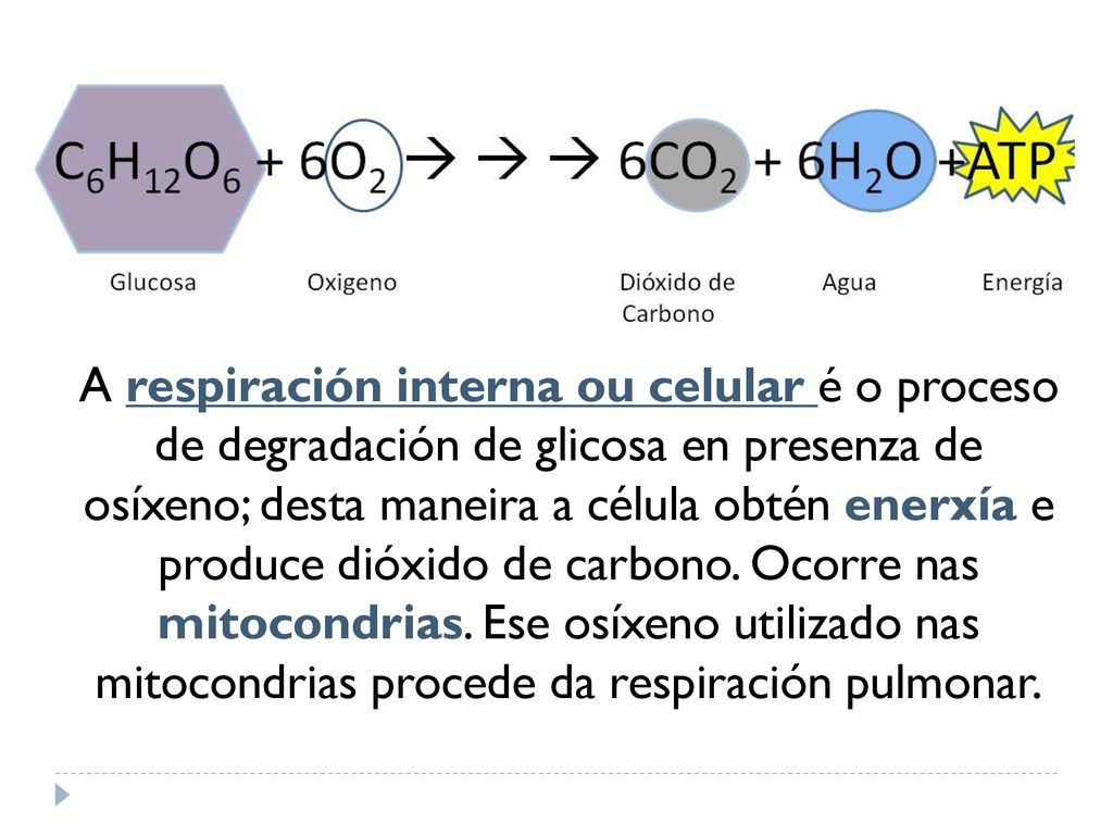A respiración interna ou celular é o proceso de degradación de glicosa en presenza de osíxeno; desta maneira a célula obtén enerxía e produce dióxido de carbono.