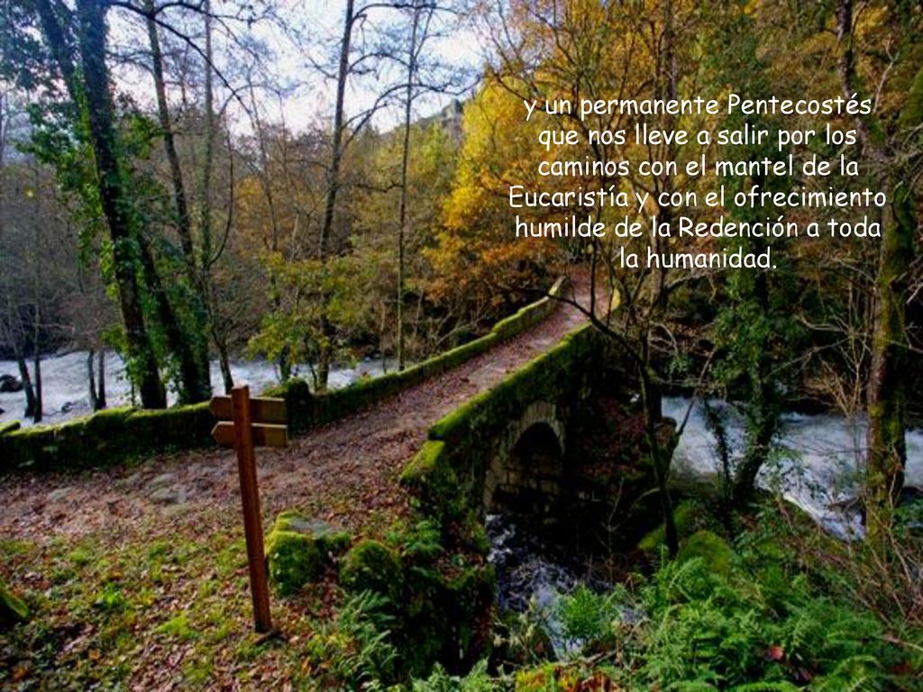 y un permanente Pentecostés que nos lleve a salir por los caminos con el mantel de la Eucaristía y con el ofrecimiento humilde de la Redención a toda la humanidad.