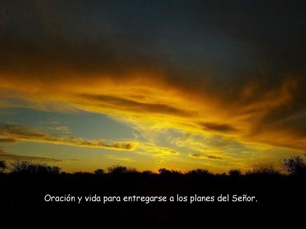 Oración y vida para entregarse a los planes del Señor.