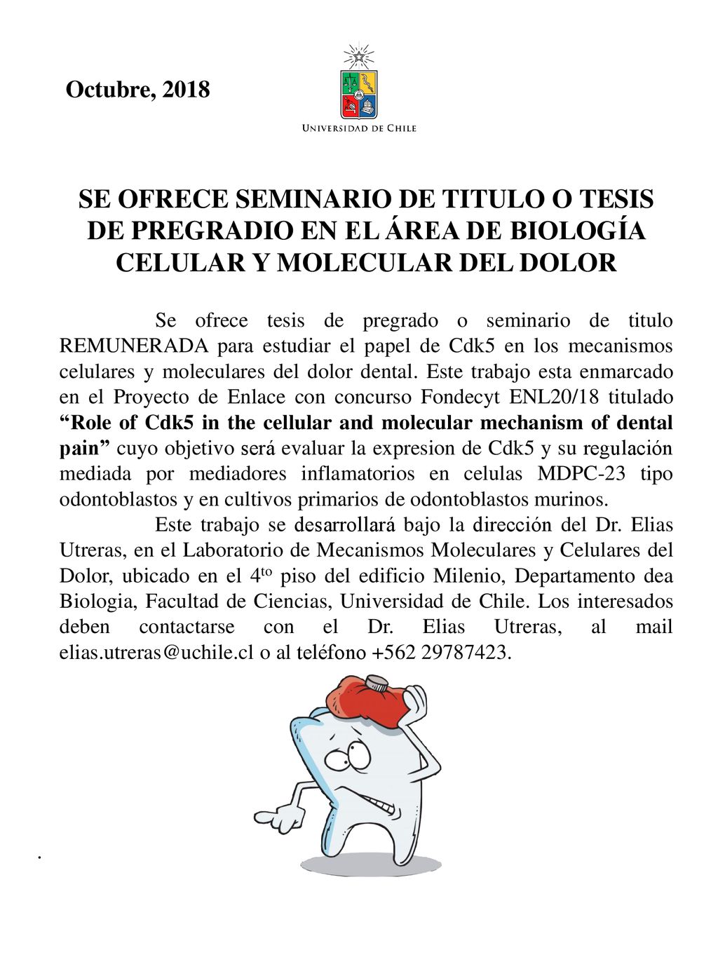 Octubre, 2018 se OFRECE seminario de titulo o tesis de pregradio en el área de Biología CELULAR Y MOLECULAR DEL DOLOR.