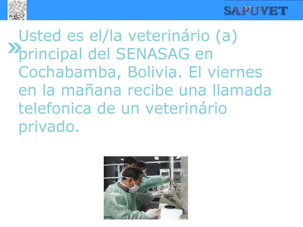 Usted es el/la veterinário (a) principal del SENASAG en Cochabamba, Bolivia.