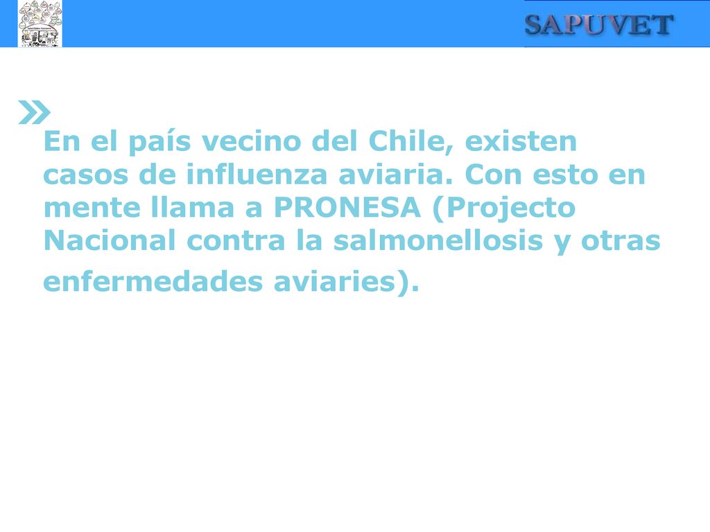 En el país vecino del Chile, existen casos de influenza aviaria