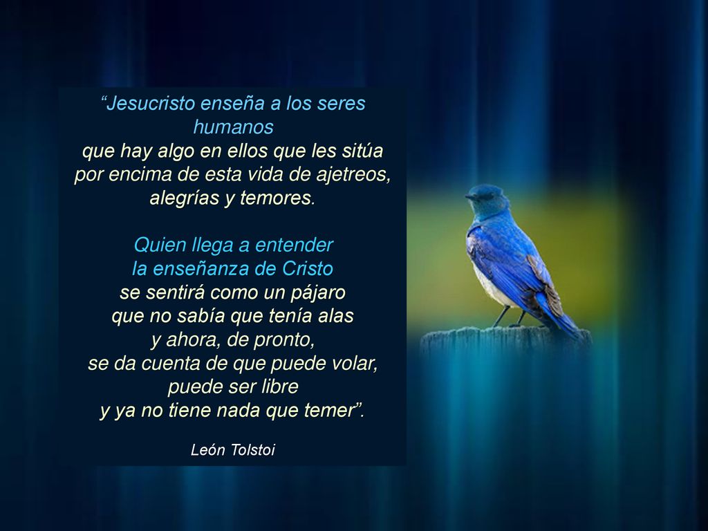 Jesucristo enseña a los seres humanos que hay algo en ellos que les sitúa por encima de esta vida de ajetreos, alegrías y temores.