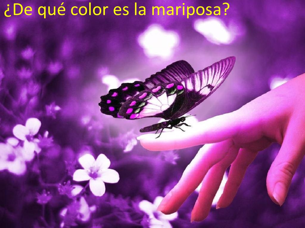 ¿De qué color es la mariposa