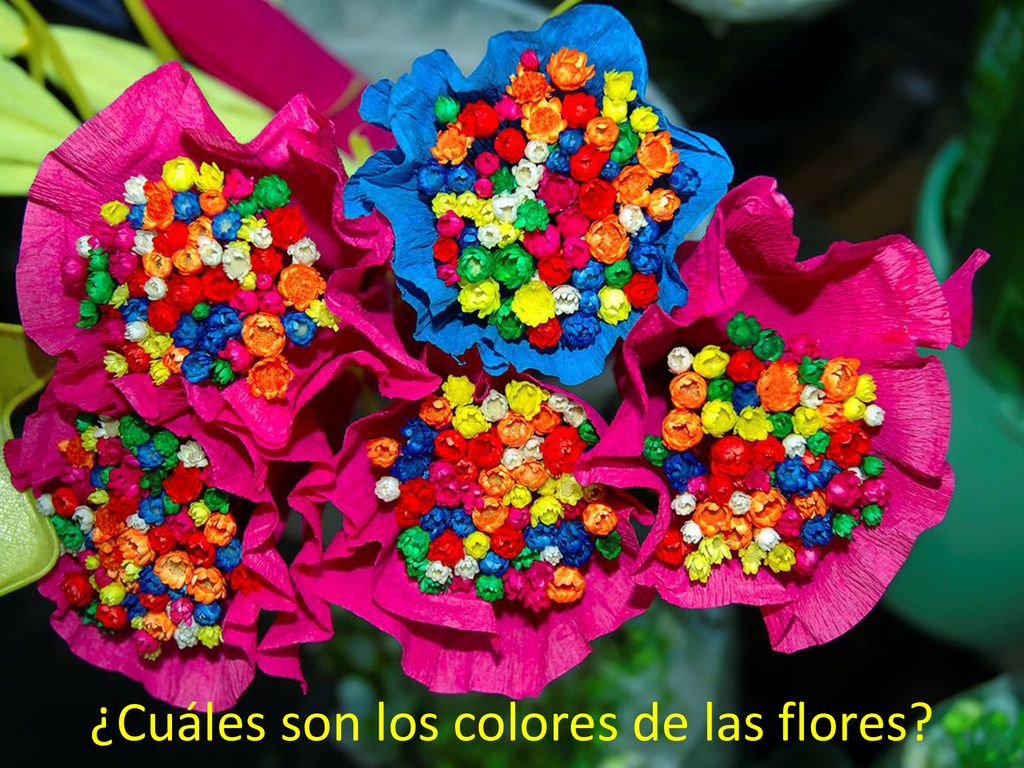 ¿Cuáles son los colores de las flores