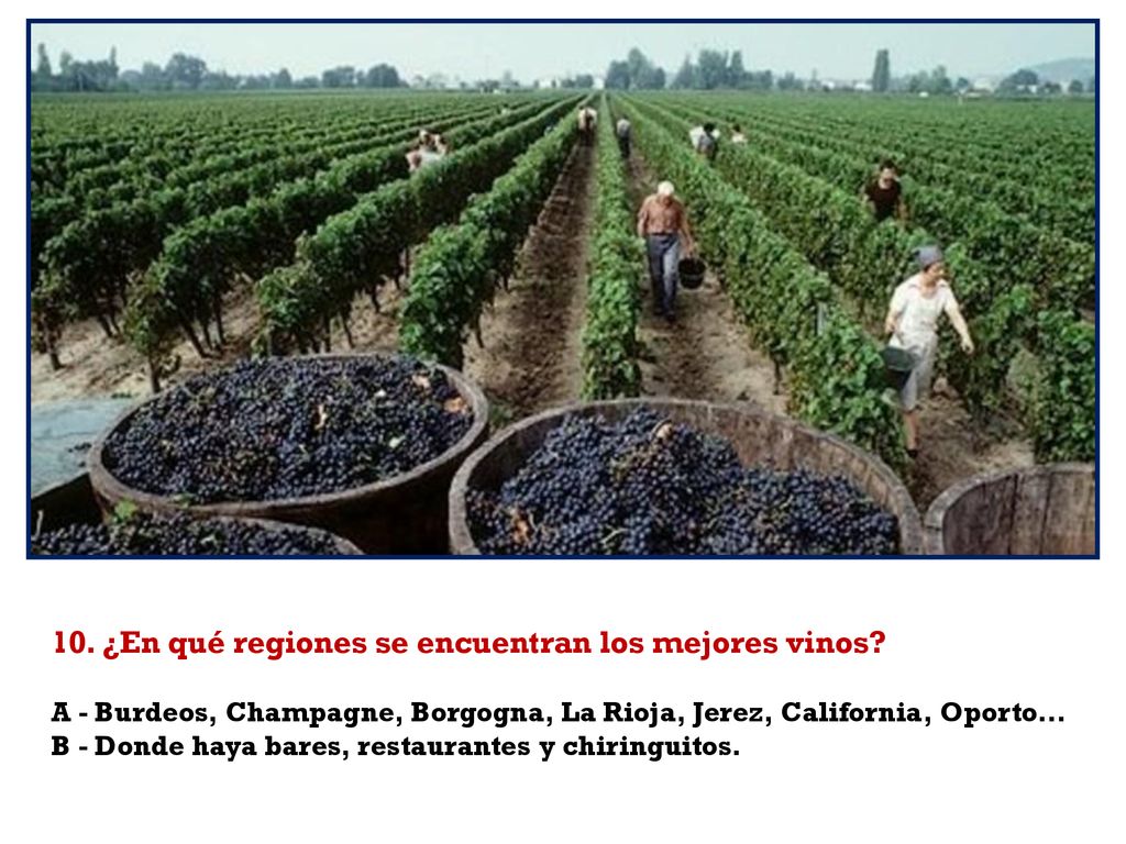 10. ¿En qué regiones se encuentran los mejores vinos