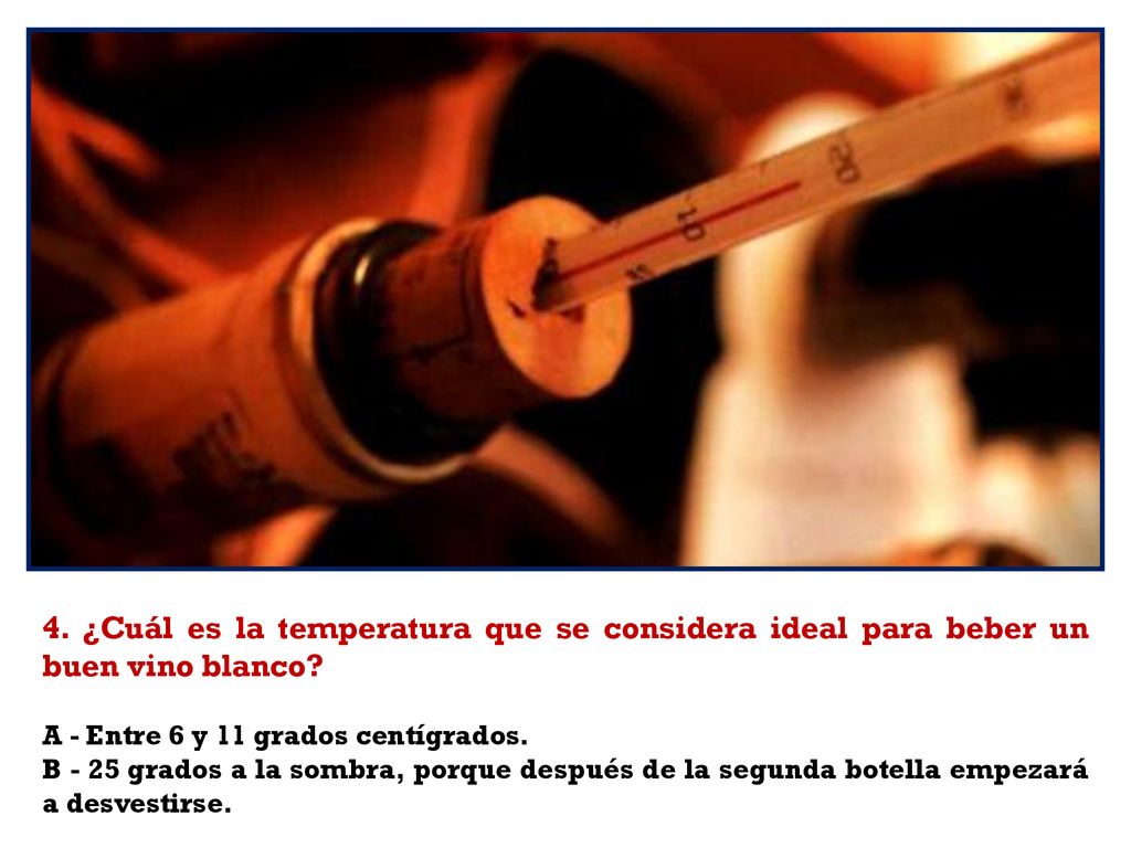 4. ¿Cuál es la temperatura que se considera ideal para beber un buen vino blanco