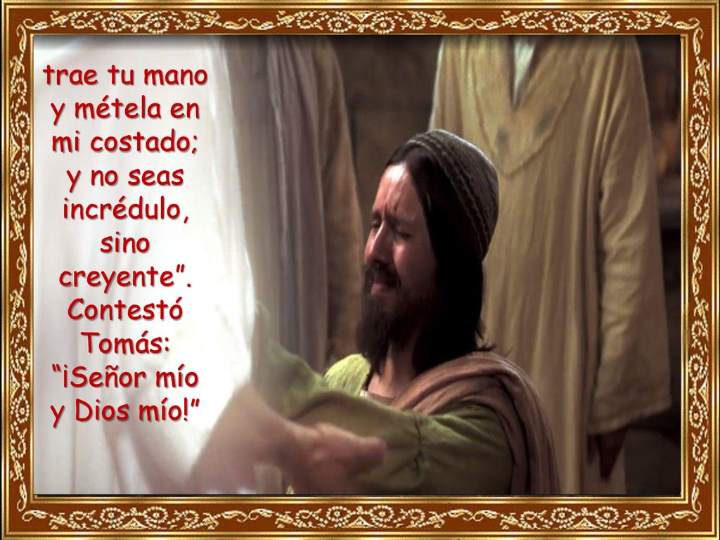trae tu mano y métela en mi costado; y no seas incrédulo, sino creyente . Contestó Tomás: