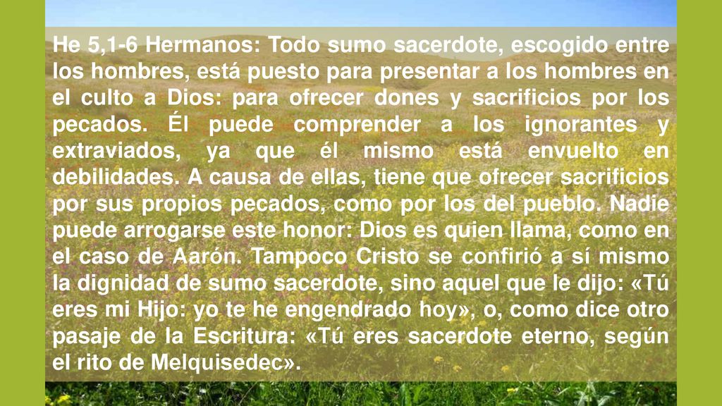 He 5,1-6 Hermanos: Todo sumo sacerdote, escogido entre los hombres, está puesto para presentar a los hombres en el culto a Dios: para ofrecer dones y sacrificios por los pecados.