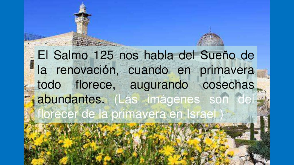 El Salmo 125 nos habla del Sueño de la renovación, cuando en primavera todo florece, augurando cosechas abundantes.