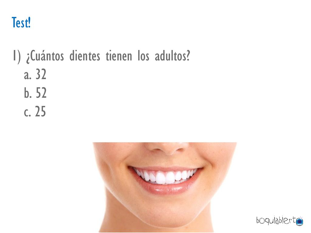 Test! 1) ¿Cuántos dientes tienen los adultos a. 32 b. 52 c. 25
