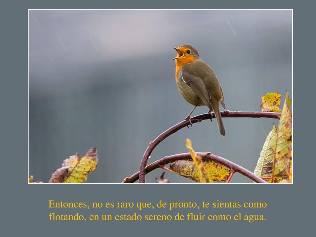 Entonces, no es raro que, de pronto, te sientas como flotando, en un estado sereno de fluir como el agua.