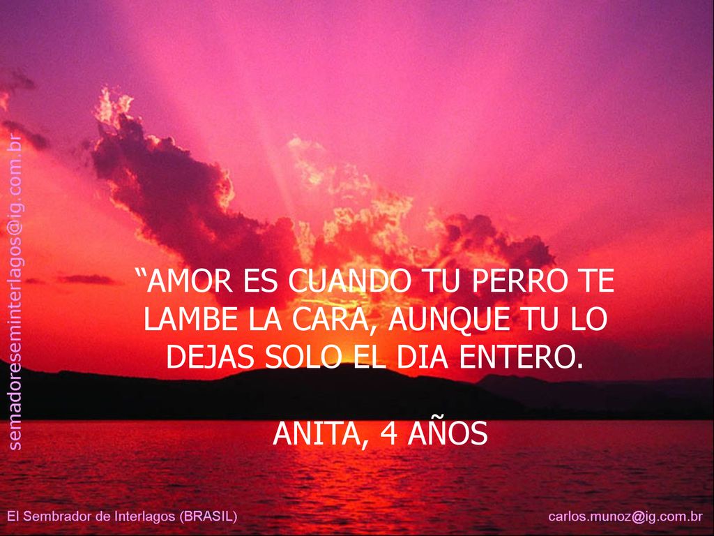 AMOR ES CUANDO TU PERRO TE LAMBE LA CARA, AUNQUE TU LO DEJAS SOLO EL DIA ENTERO.