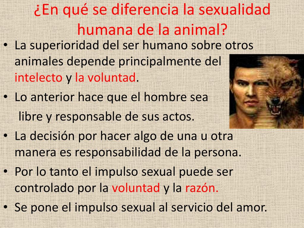 ¿En qué se diferencia la sexualidad humana de la animal