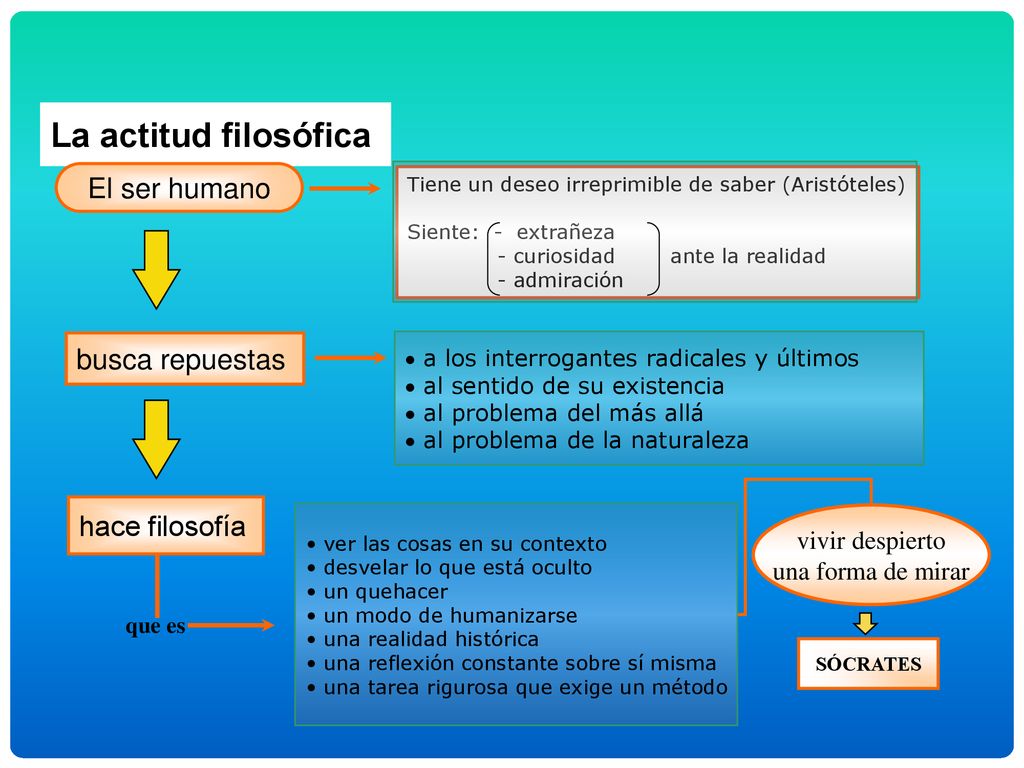 La actitud filosófica El ser humano busca repuestas hace filosofía