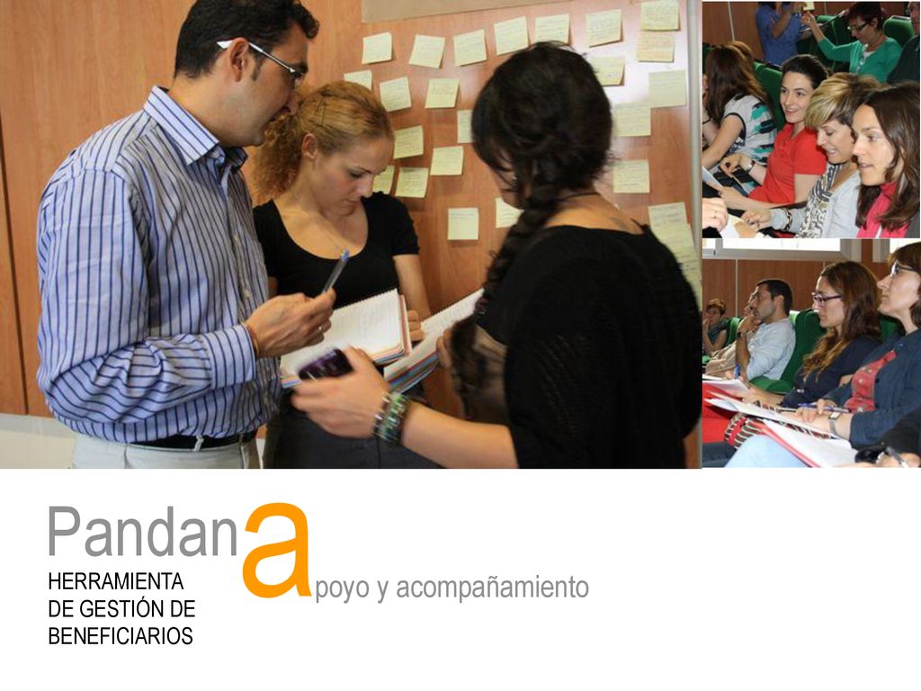 Pandan poyo y acompañamiento a HERRAMIENTA DE GESTIÓN DE BENEFICIARIOS
