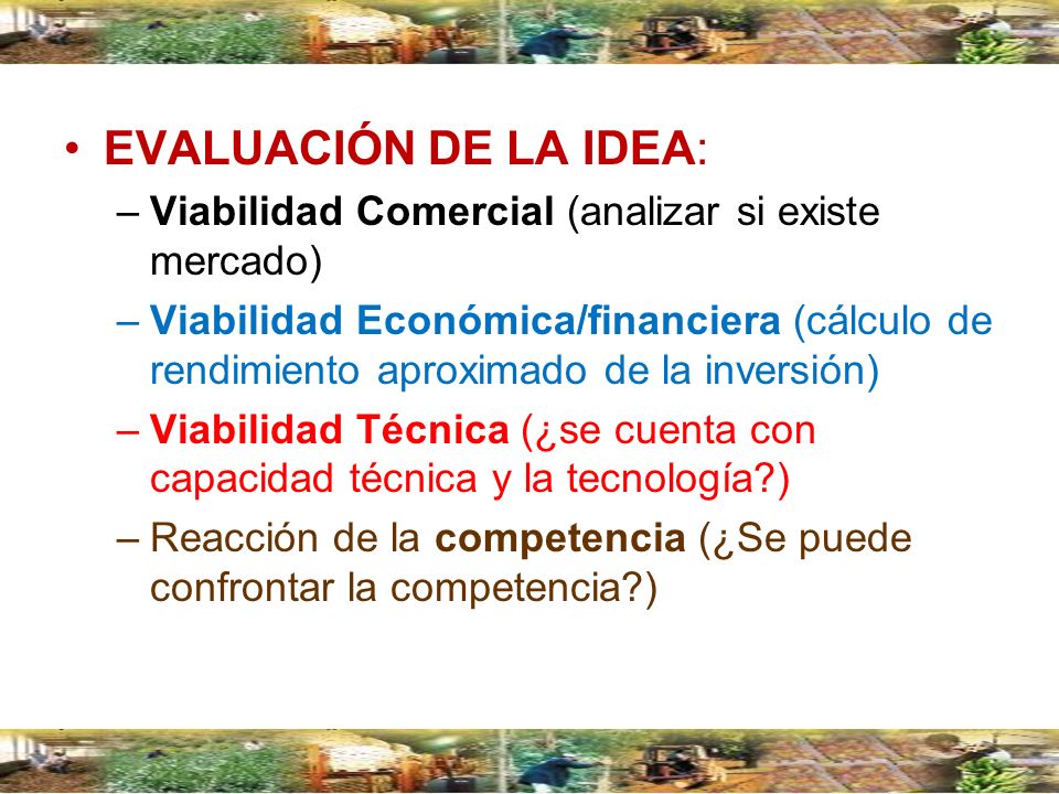 EVALUACIÓN DE LA IDEA: Viabilidad Comercial (analizar si existe mercado)