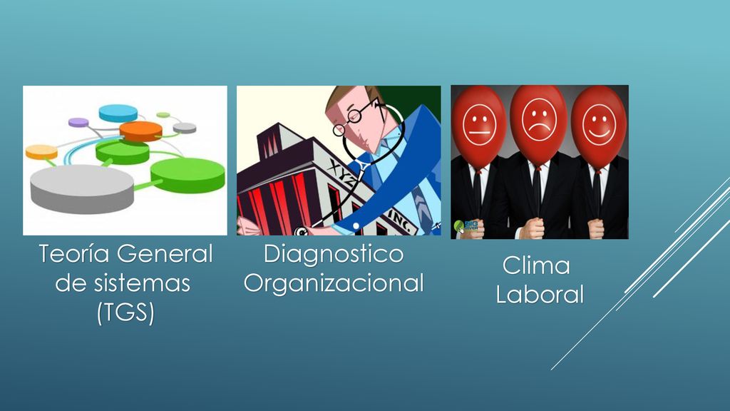Teoría General de sistemas (TGS) Diagnostico Organizacional Clima Laboral