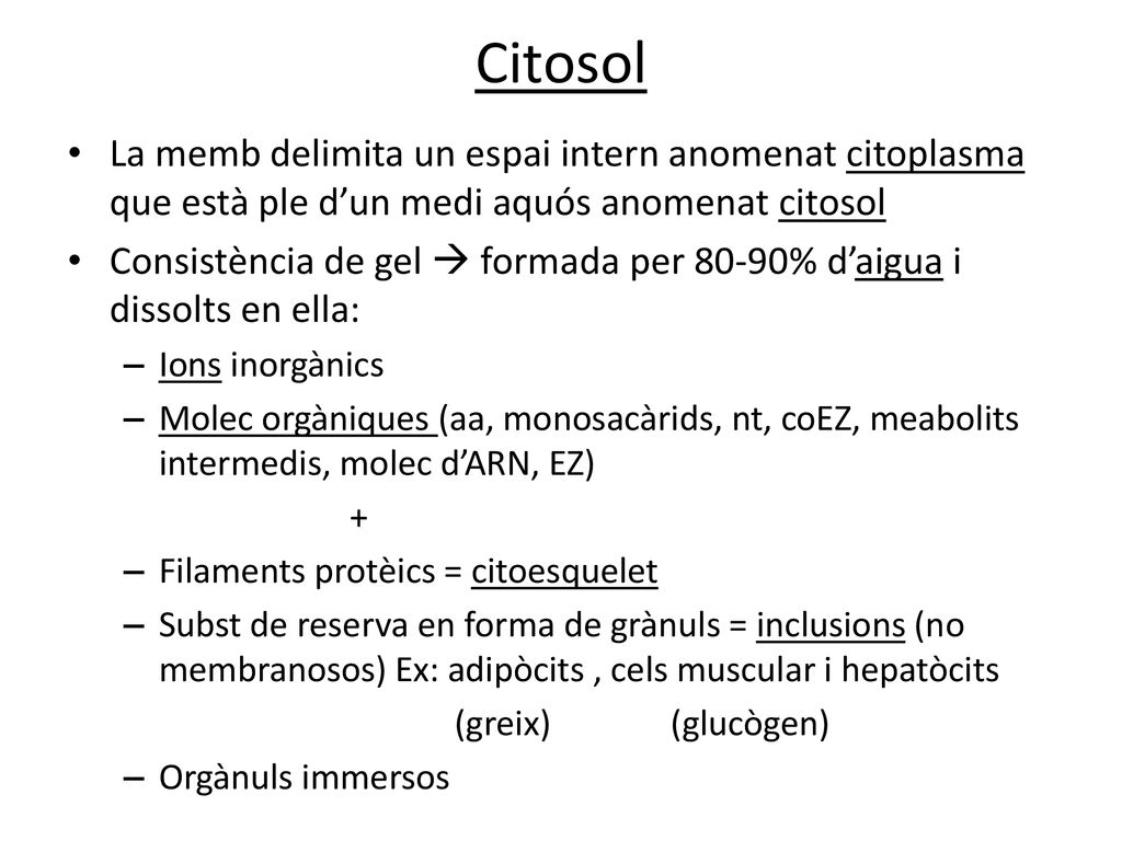 Citosol La memb delimita un espai intern anomenat citoplasma que està ple d’un medi aquós anomenat citosol.