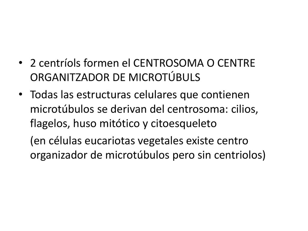 2 centríols formen el CENTROSOMA O CENTRE ORGANITZADOR DE MICROTÚBULS