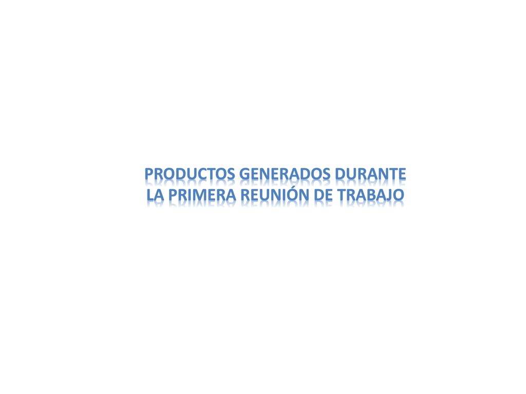 Productos generados durante la PRIMERA reunión de trabajo