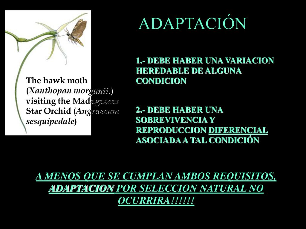 ADAPTACIÓN 1.- DEBE HABER UNA VARIACION HEREDABLE DE ALGUNA CONDICION.