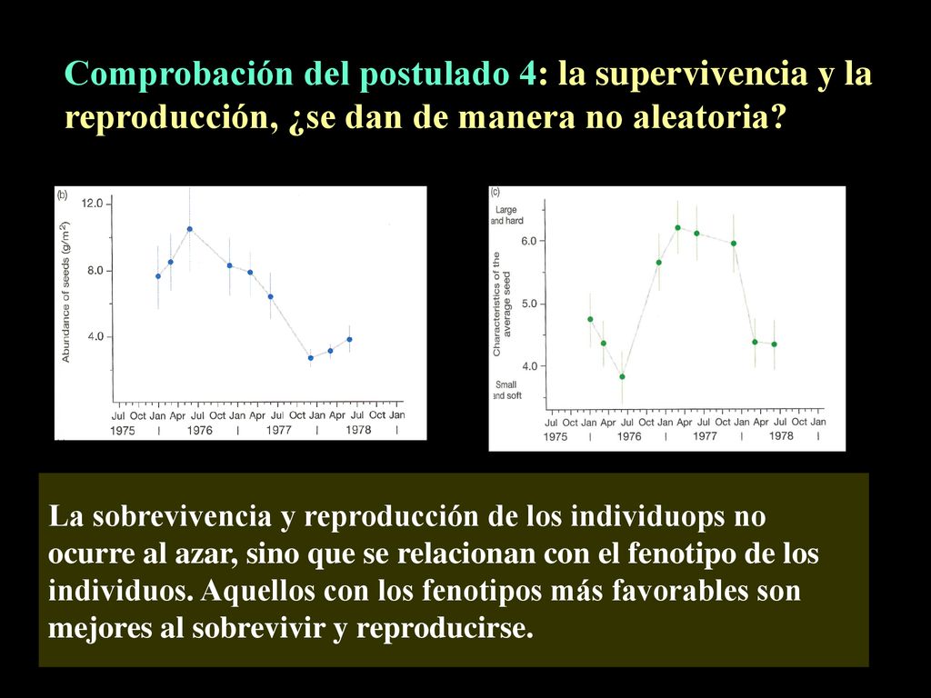 Comprobación del postulado 4: la supervivencia y la reproducción, ¿se dan de manera no aleatoria