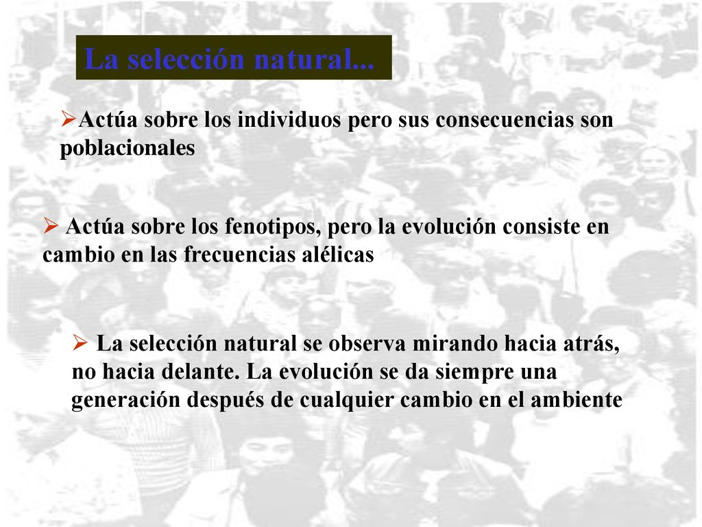 La selección natural... Actúa sobre los individuos pero sus consecuencias son poblacionales.