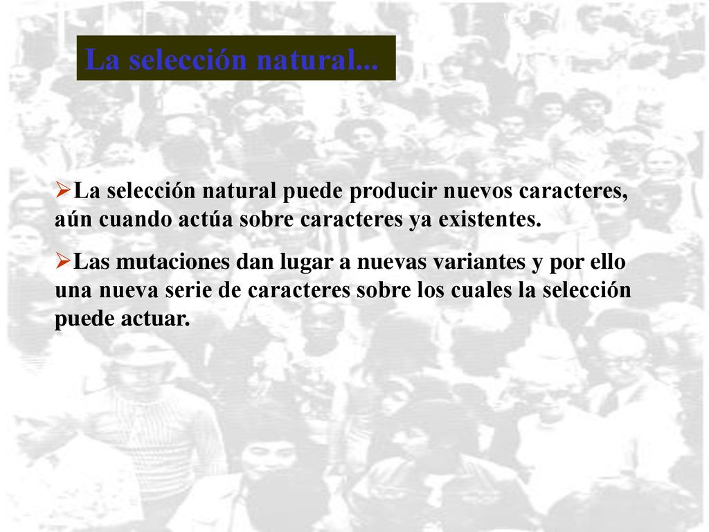 La selección natural... La selección natural puede producir nuevos caracteres, aún cuando actúa sobre caracteres ya existentes.