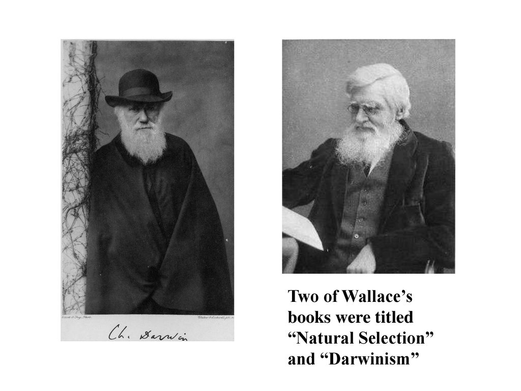 Two of Wallace’s books were titled Natural Selection and Darwinism