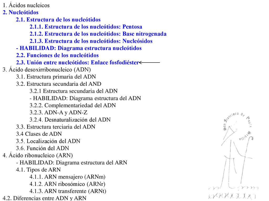 1. Ácidos nucleicos 2. Nucleótidos Estructura de los nucleótidos Estructura de los nucleótidos: Pentosa.