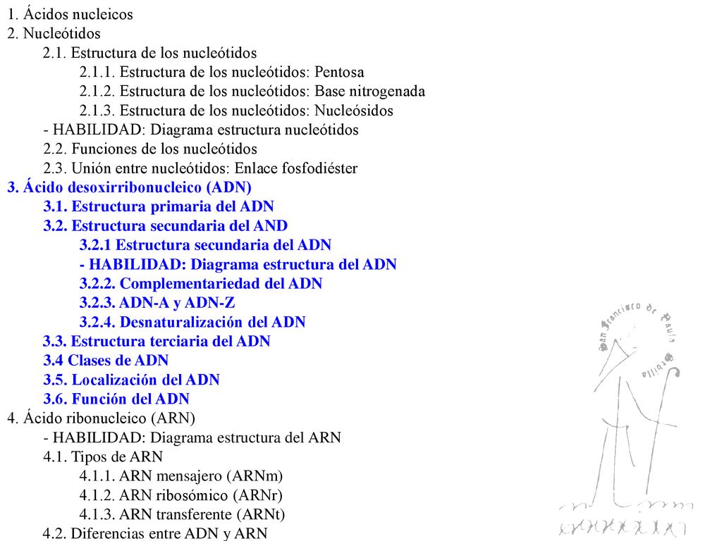 1. Ácidos nucleicos 2. Nucleótidos Estructura de los nucleótidos Estructura de los nucleótidos: Pentosa.