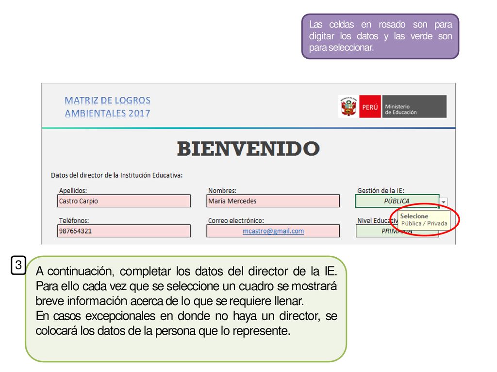 Las celdas en rosado son para digitar los datos y las verde son para seleccionar.