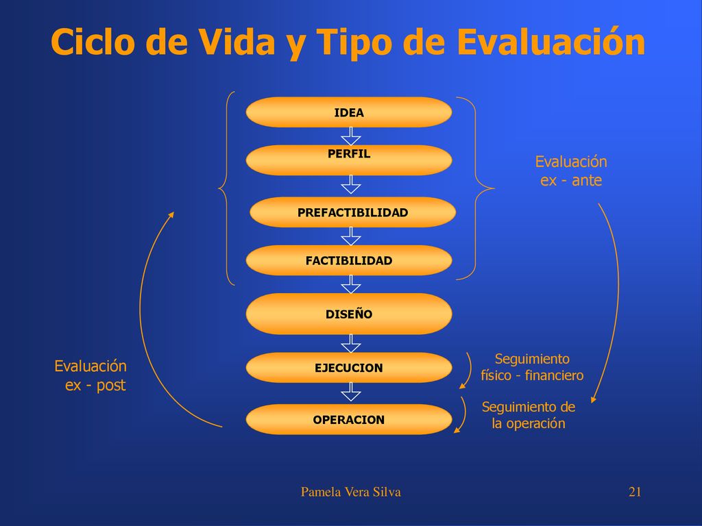 Ciclo de Vida y Tipo de Evaluación