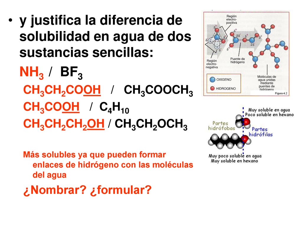 y justifica la diferencia de solubilidad en agua de dos sustancias sencillas: