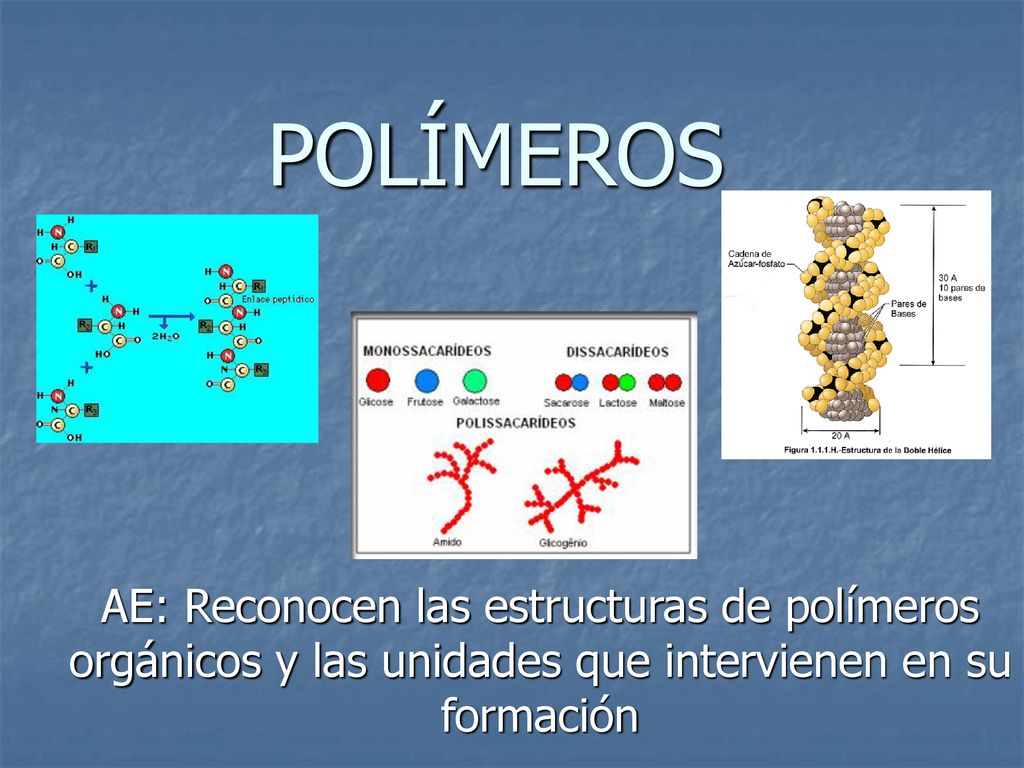 POLÍMEROS AE: Reconocen las estructuras de polímeros orgánicos y las unidades que intervienen en su formación.