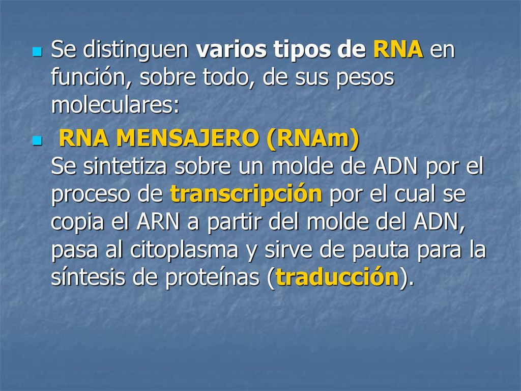 Se distinguen varios tipos de RNA en función, sobre todo, de sus pesos moleculares: