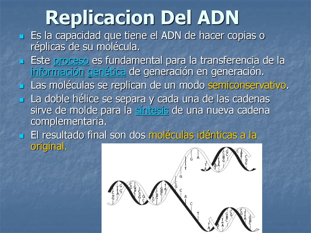 Replicacion Del ADN Es la capacidad que tiene el ADN de hacer copias o réplicas de su molécula.