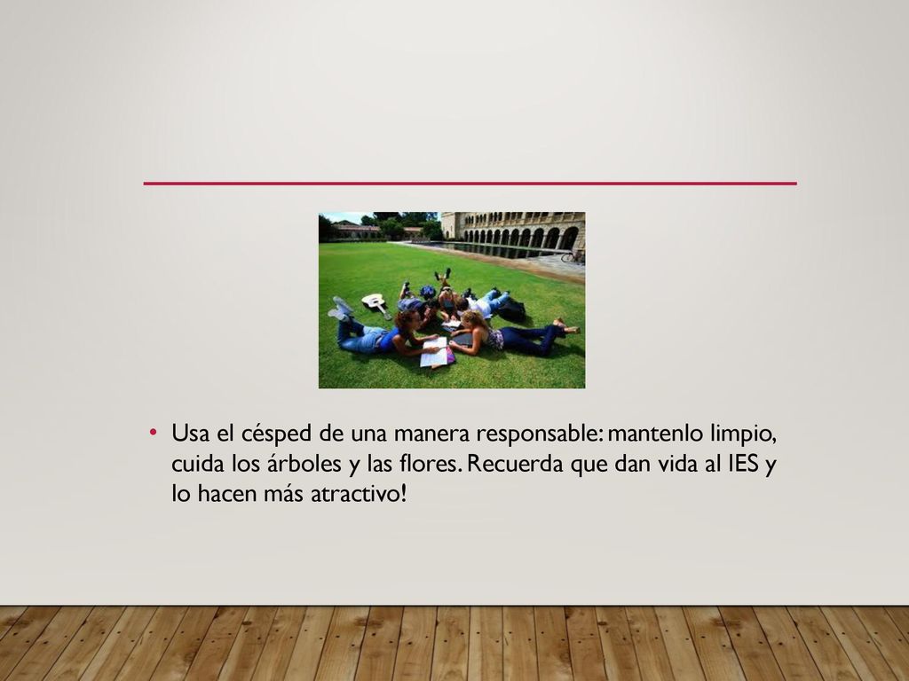 Usa el césped de una manera responsable: mantenlo limpio, cuida los árboles y las flores.