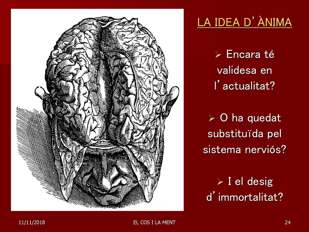 LA IDEA D’ÀNIMA Encara té validesa en l’actualitat O ha quedat